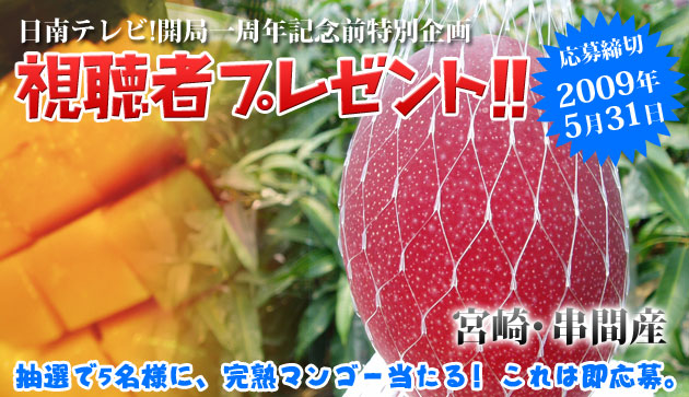マンゴープレゼント マンゴープレゼント