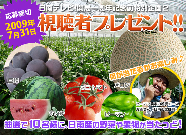 視聴者プレゼント 日南産の野菜や果物が当たる