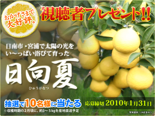 日向夏 日向夏