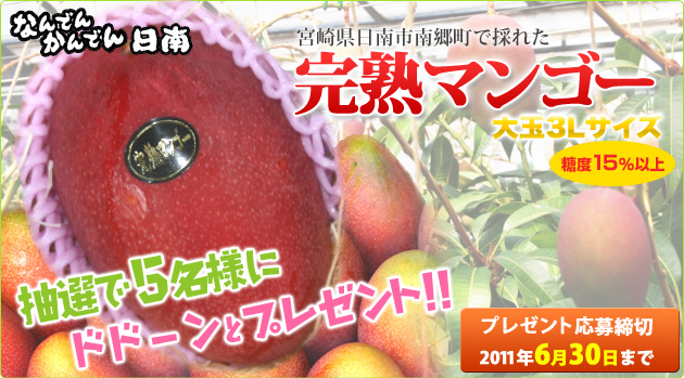 宮崎県日南市南郷町の完熟マンゴーをプレゼント
