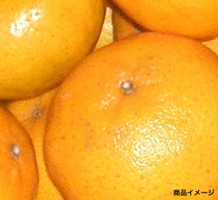 ぽんかん