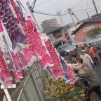 広島カープをミニ鯉のぼりで応援