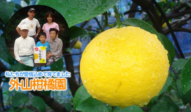 生産者 外山柑橘園