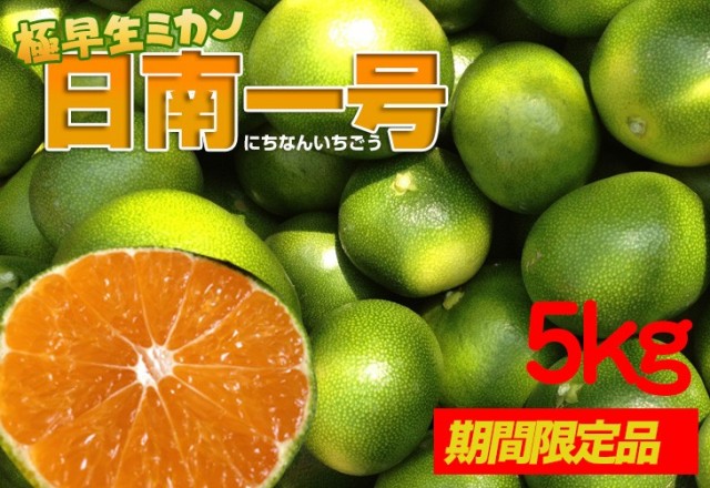 極早生温州ミカン「日南1号」の収穫 | 日南テレビ!（公式）