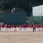 広島東洋カープ春季キャンプ 2015