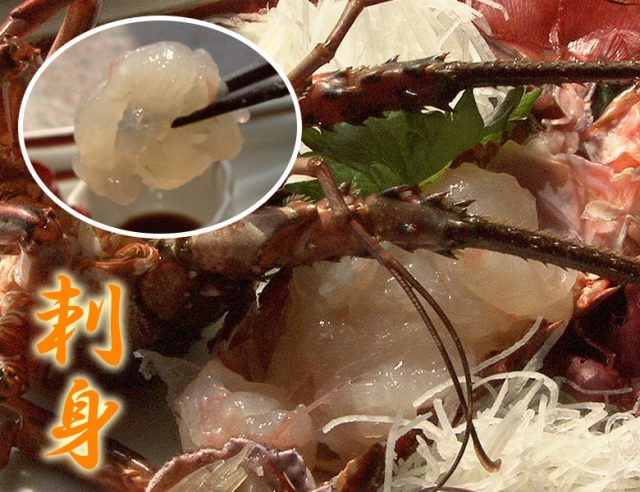 活き伊勢えび刺身