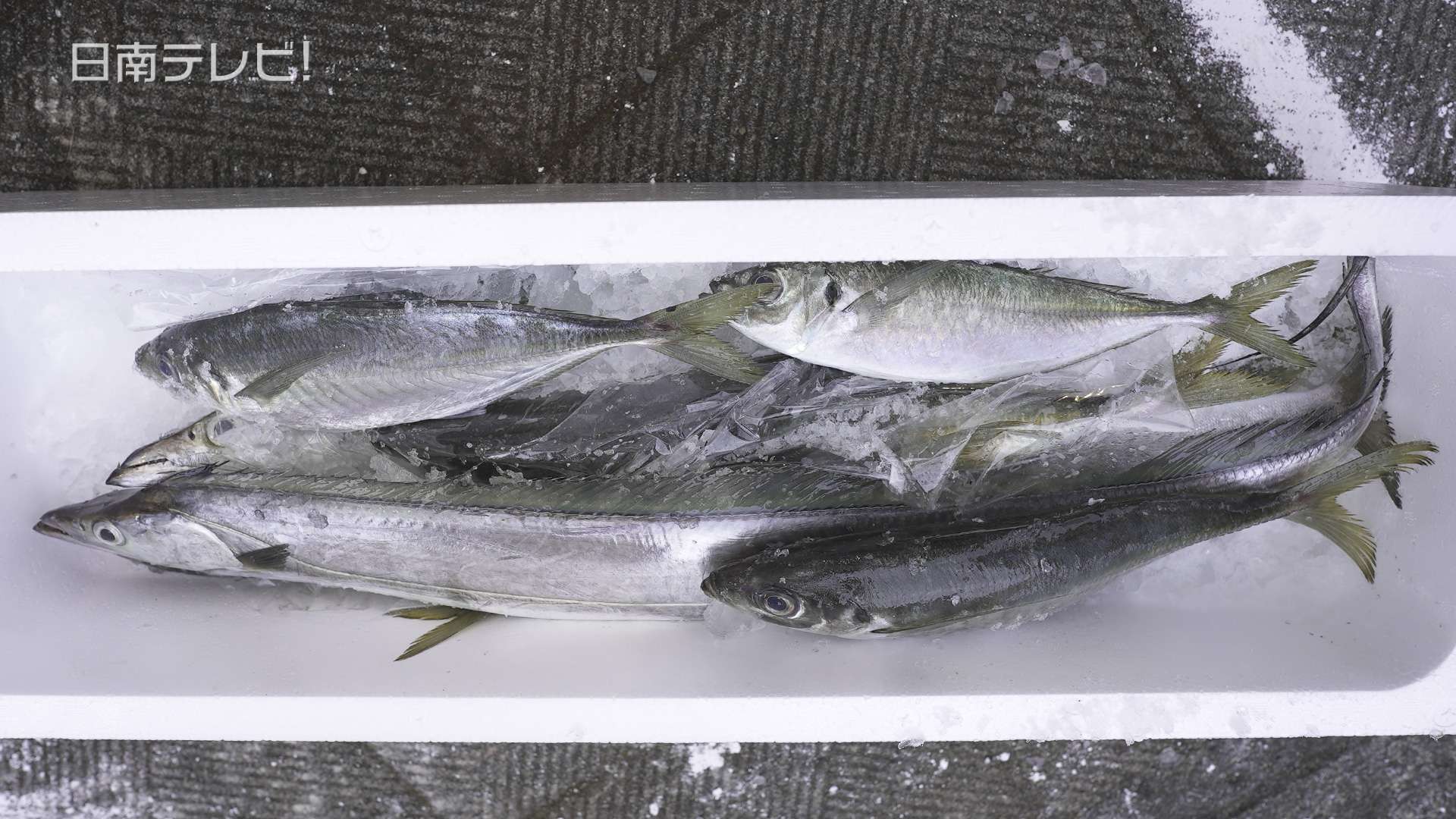 なんごう日の出市