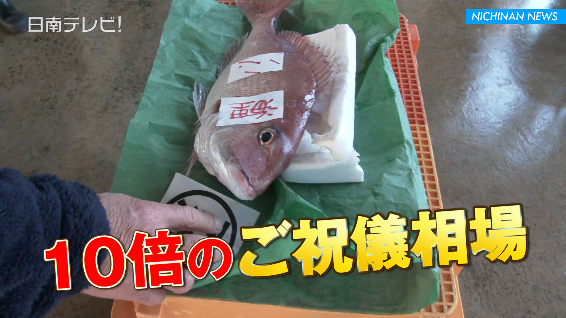 日南市漁協 初競り