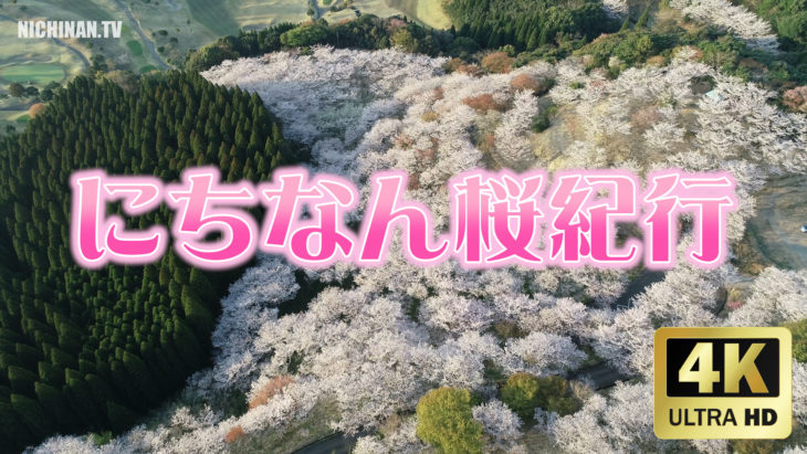 にちなん桜紀行