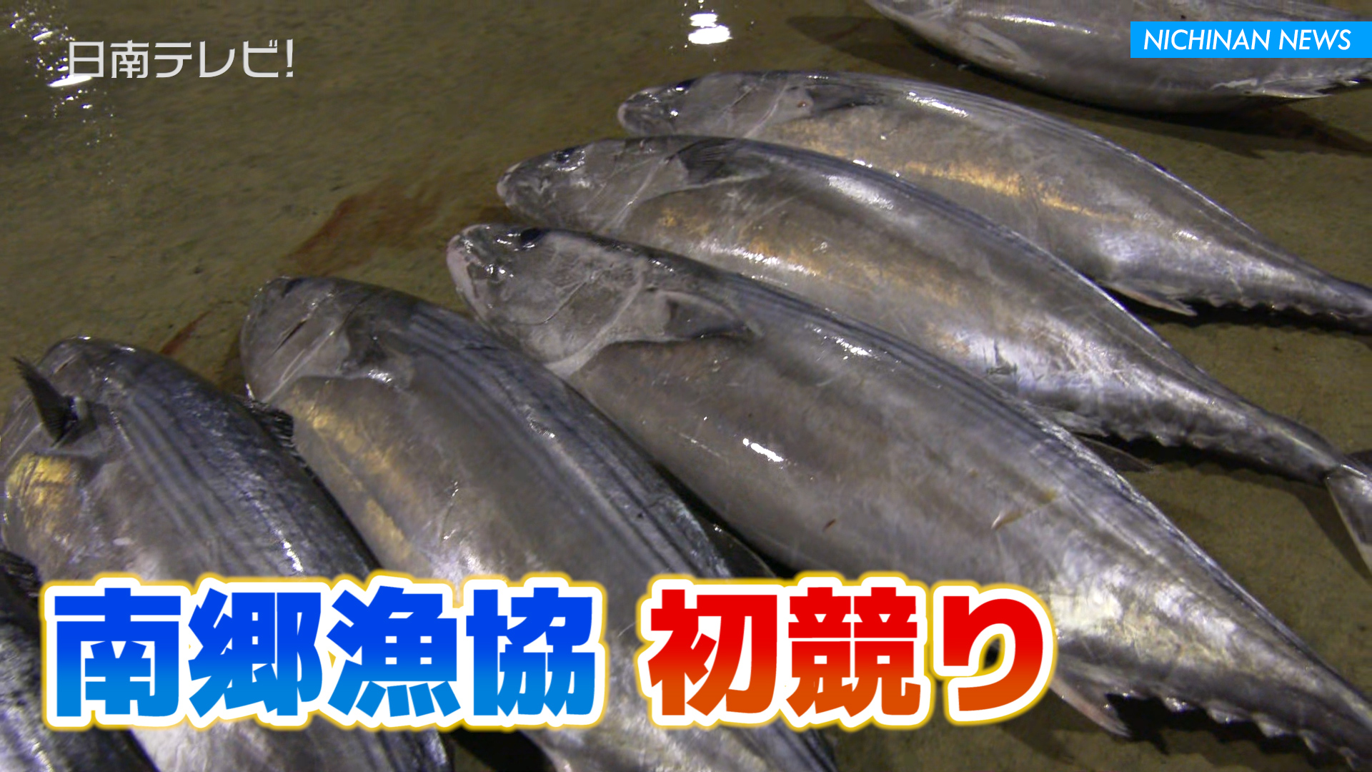 南郷漁協の初競り 年末と比べ2〜3割高