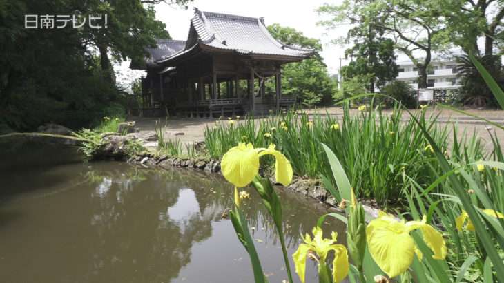 五百禩神社