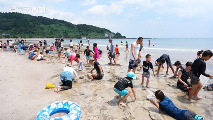 富土海水浴場でハマグリ探し