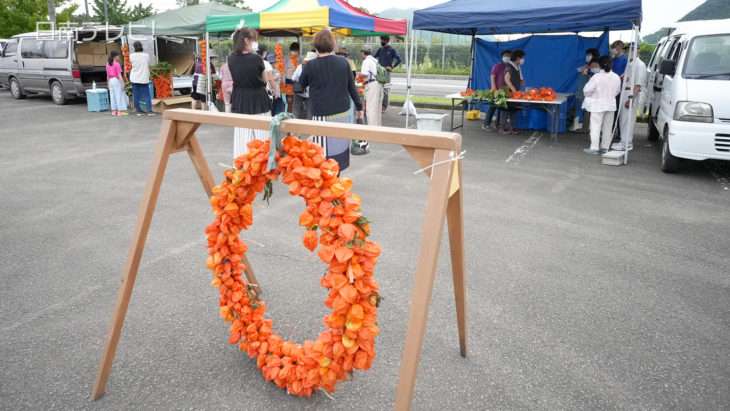 今年は日南総合運動公園で「ほおずき市」開催