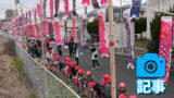 広島カープを応援　住民と園児がミニ鯉のぼり設置