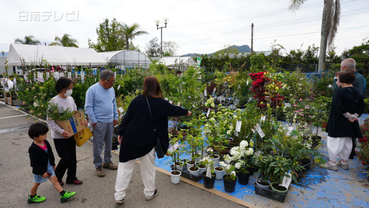 春のにちなん植木市