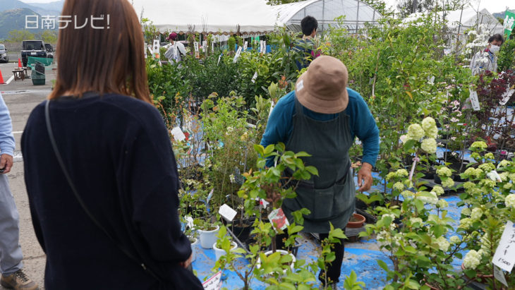 春のにちなん植木市