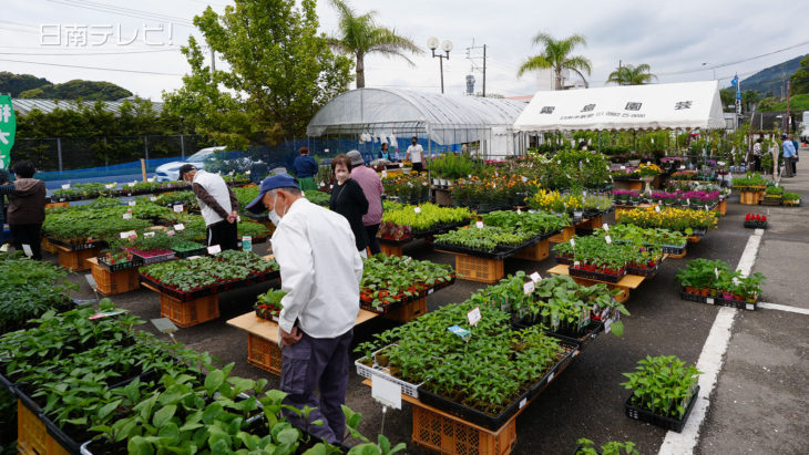 春のにちなん植木市