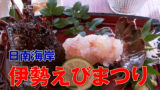 日南海岸伊勢えびまつり