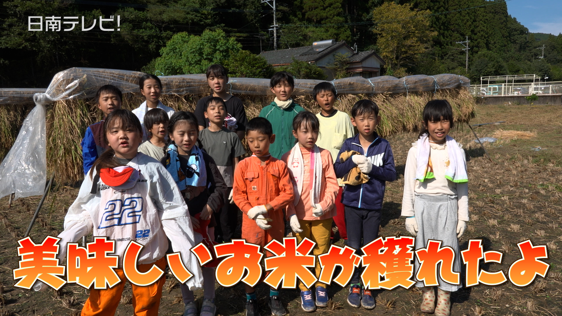 酒谷小学校 全校児童１３人が昔ながらの稲刈り体験