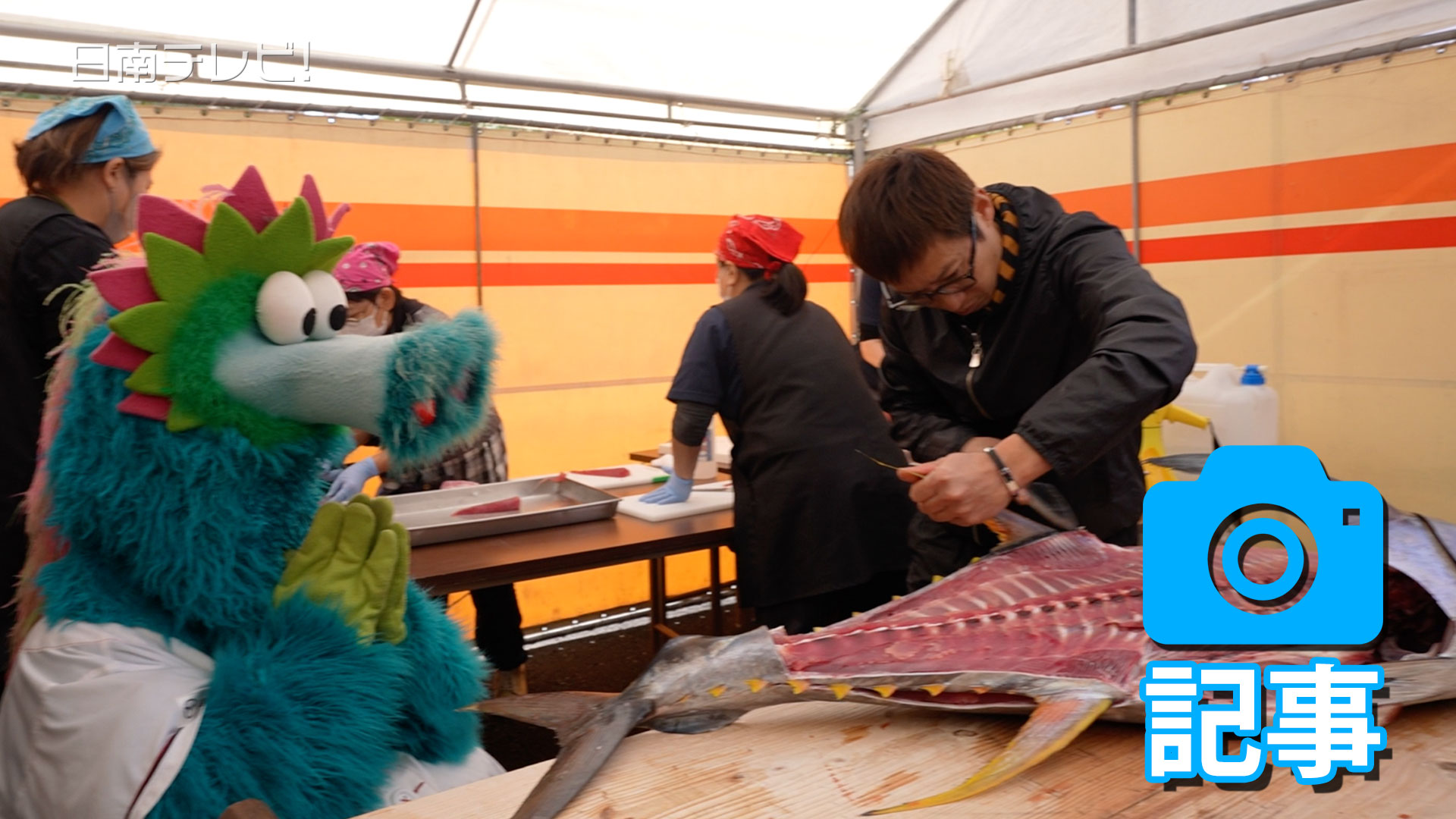 キハダマグロ解体ショー