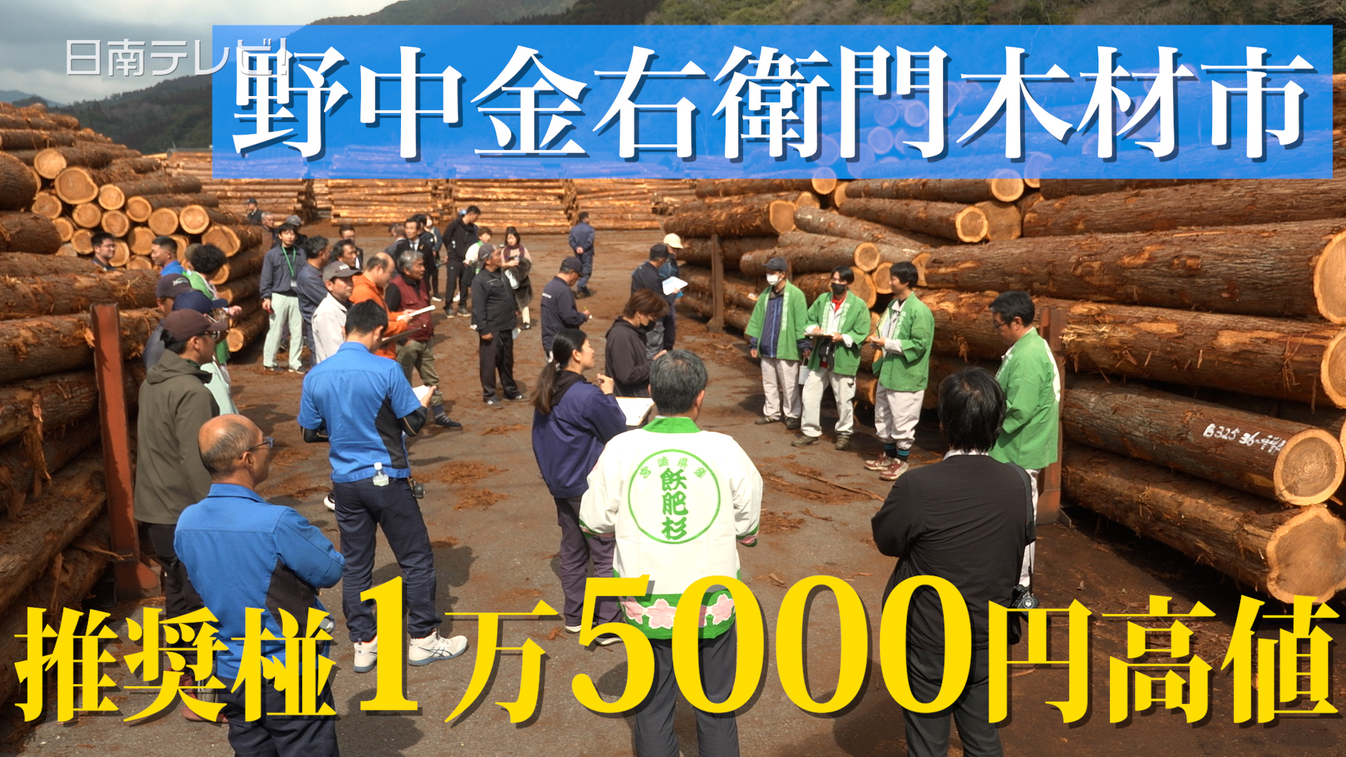 「野中金右衛門木材市」が開催　平均1万3800円で例年並み