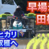 日南市北郷で早場米の田植え　コシヒカリ7月収穫へ
