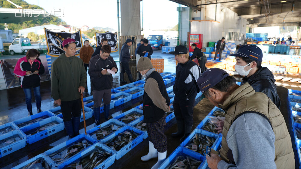 めいつ美々鯵初セリ