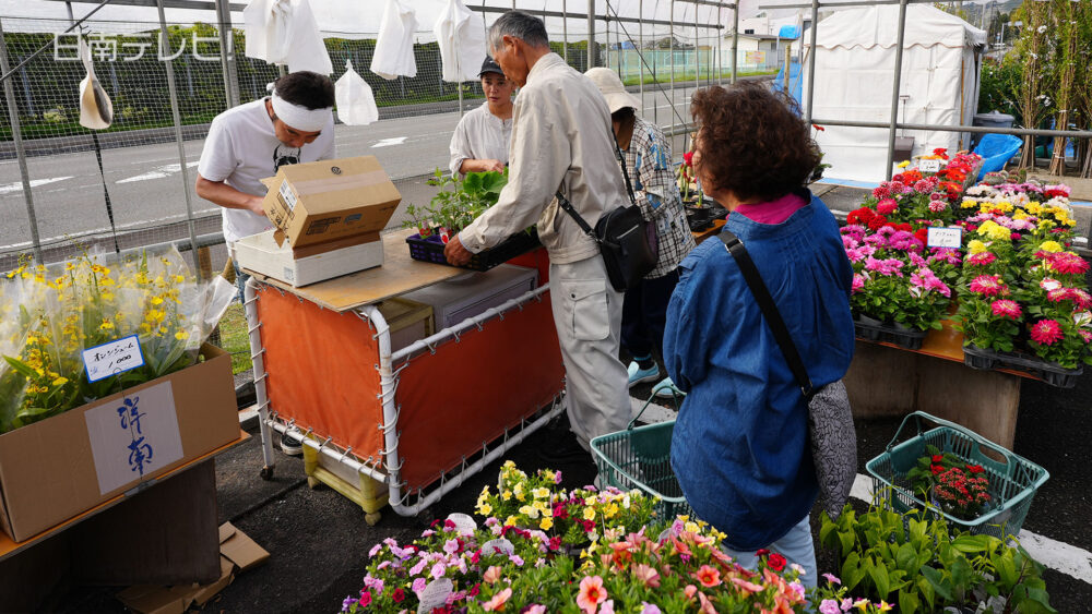日南で植木市