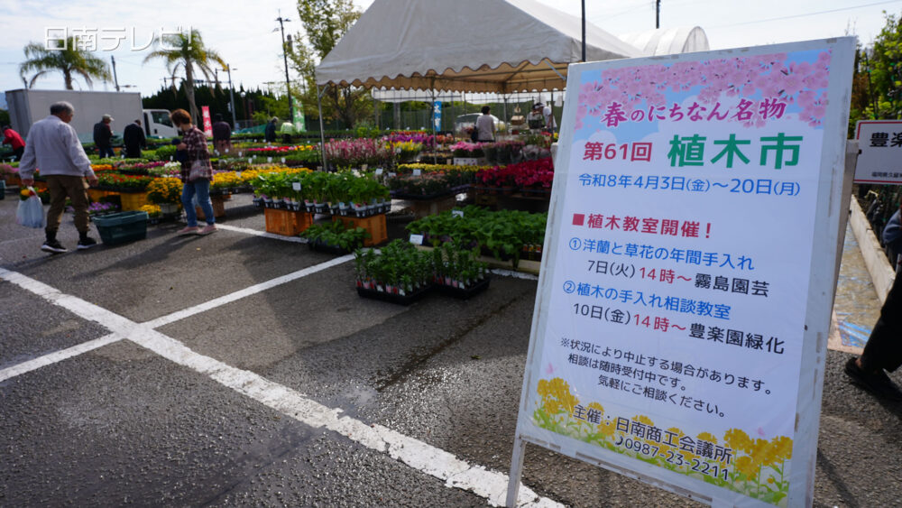 日南で植木市
