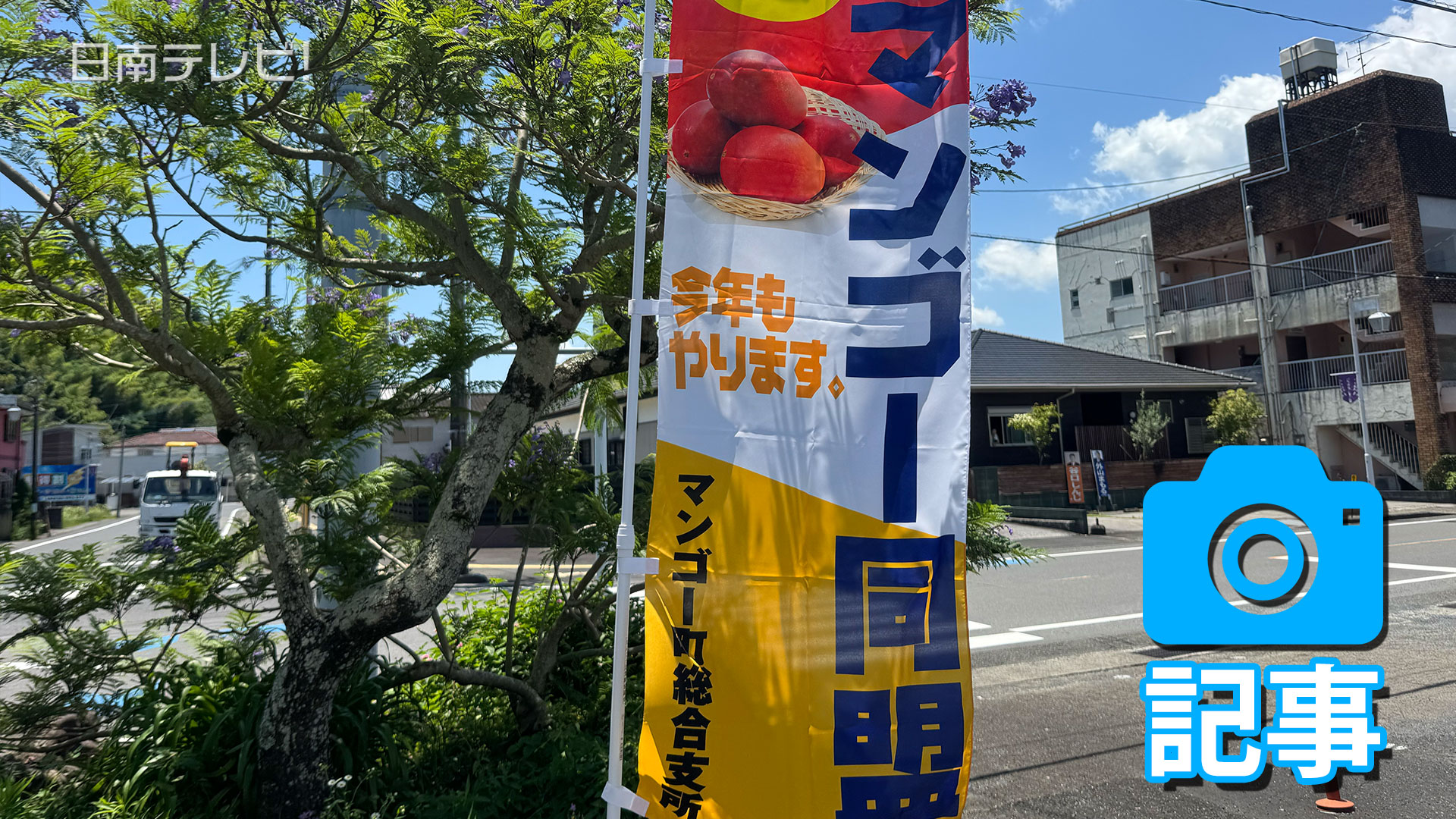 マンゴー同盟