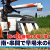 日南・串間で早場米の稲刈り　買い取り価格は大幅下落へ