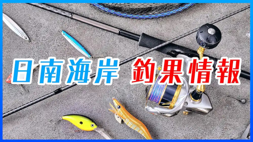 日南海岸 釣果情報