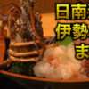 日南海岸伊勢えびまつり