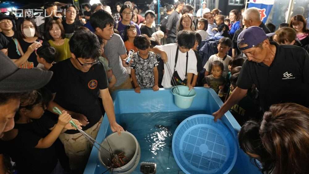 「月の出市」伊勢えびつかみ取り